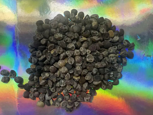 1000 UNTREATED Hawaiian Baby Wood Rose Seeds (Argyreia nervosa) Elephant Creeper