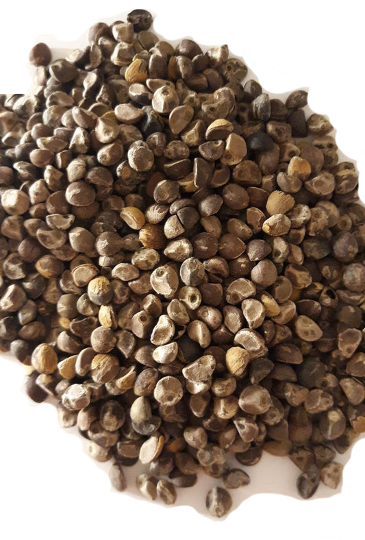200 UNTREATED Hawaiian Baby Wood Rose Seeds (Argyreia nervosa) Elephant Creeper 50% OFF SUPER SALE!